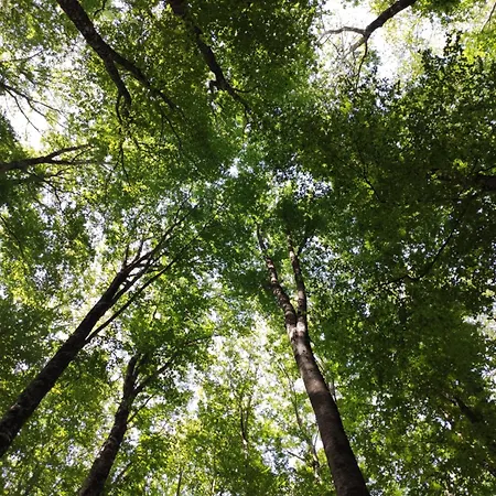 A Casa Di Nonna Bed & Breakfast 3*